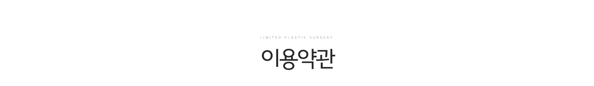 이용약관
